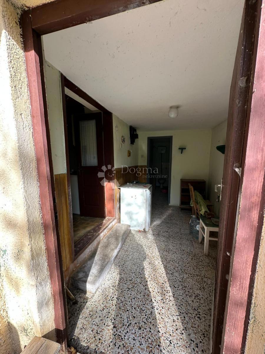 ŠVICA