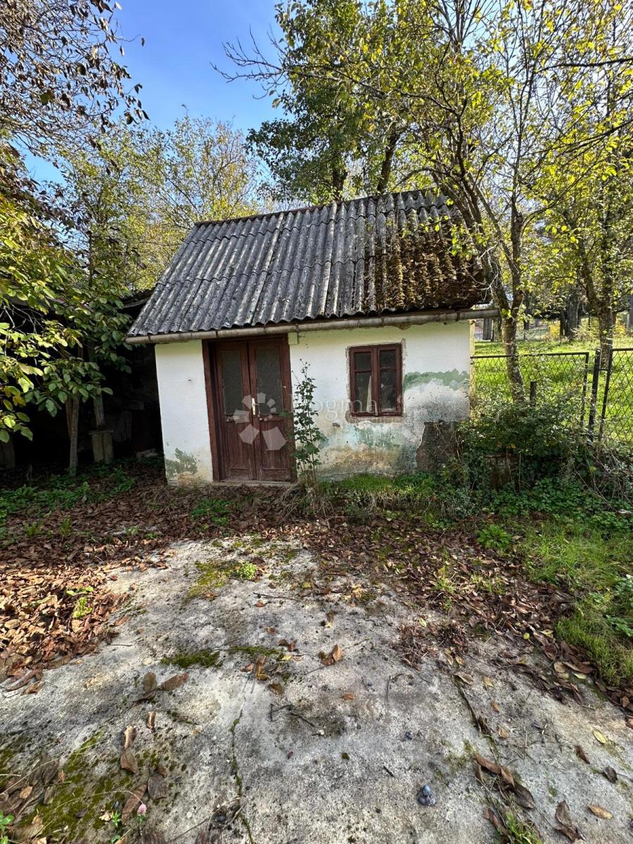 ŠVICA
