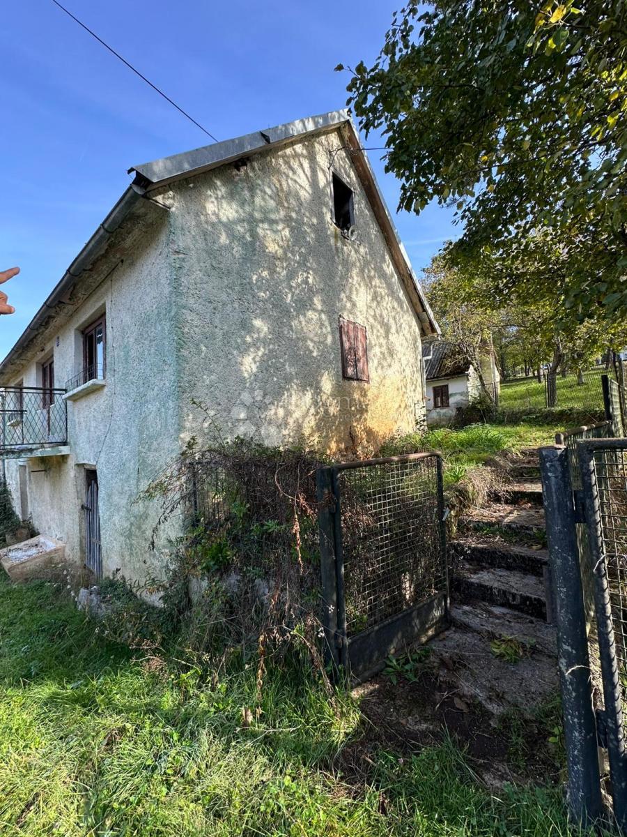 ŠVICA