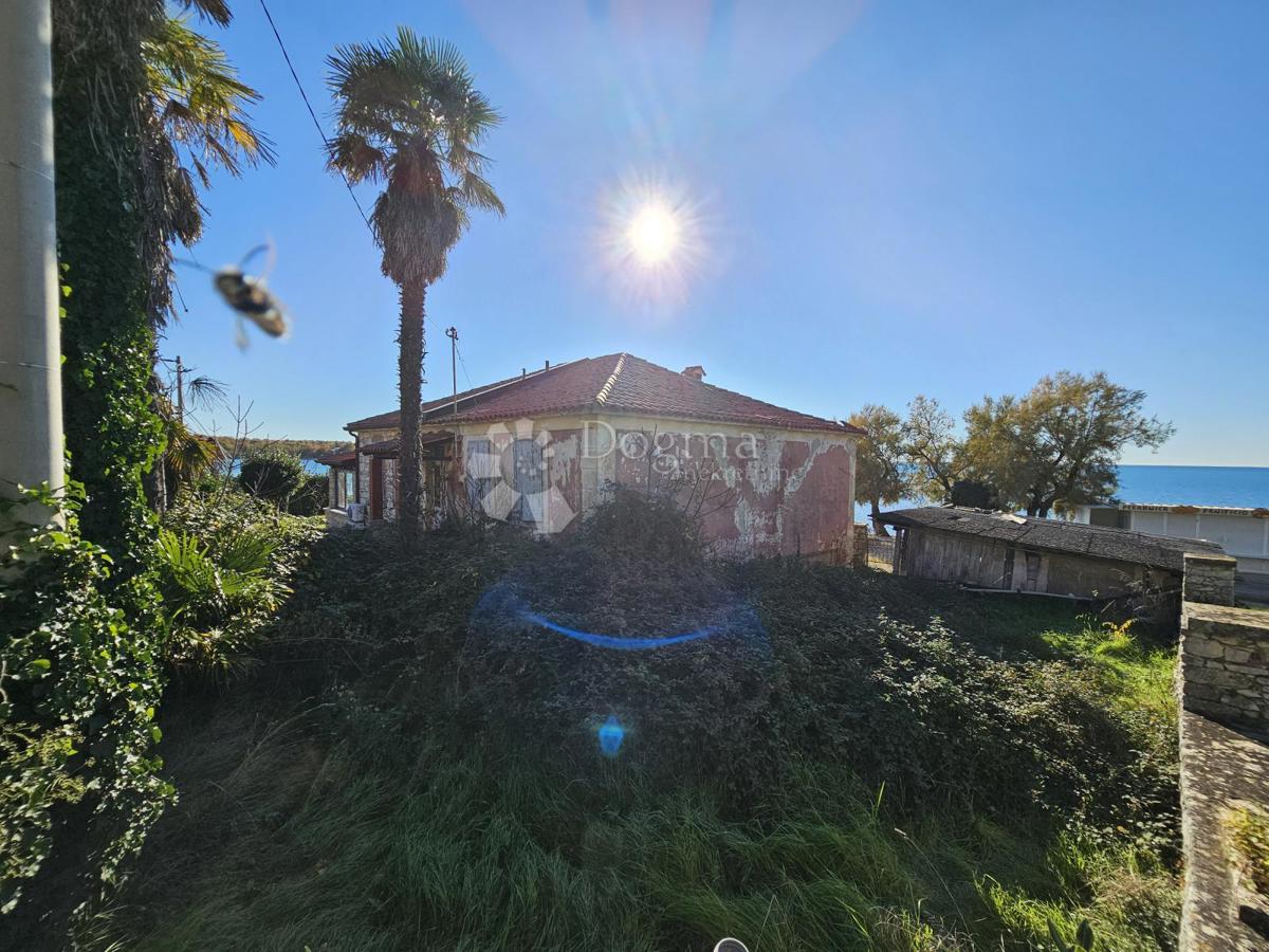 Casa UMAG