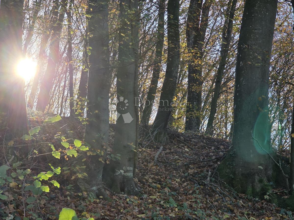 Terreno KRAPINSKE TOPLICE, 15.000 €