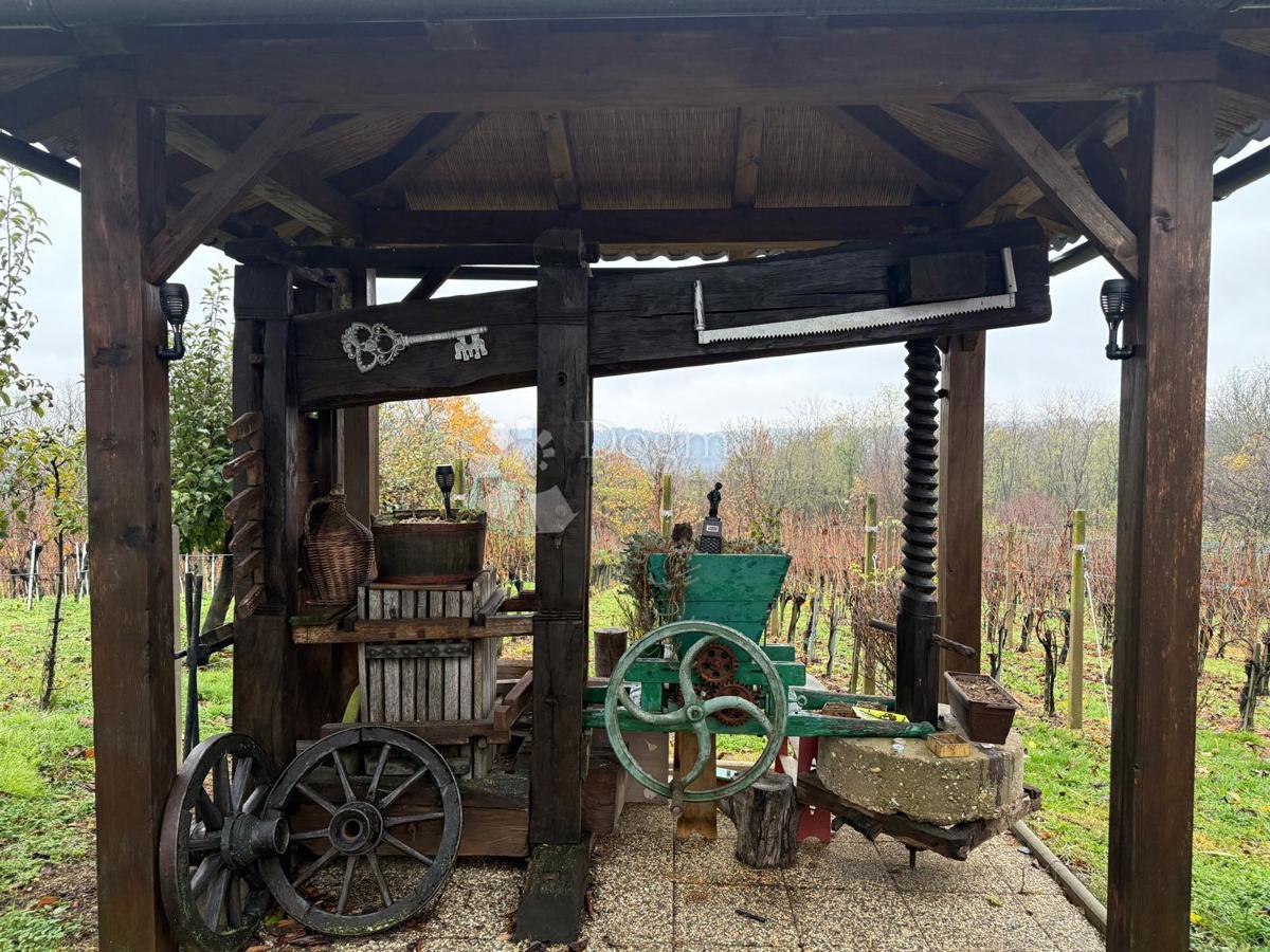 VINOGRADI LUDBREŠKI