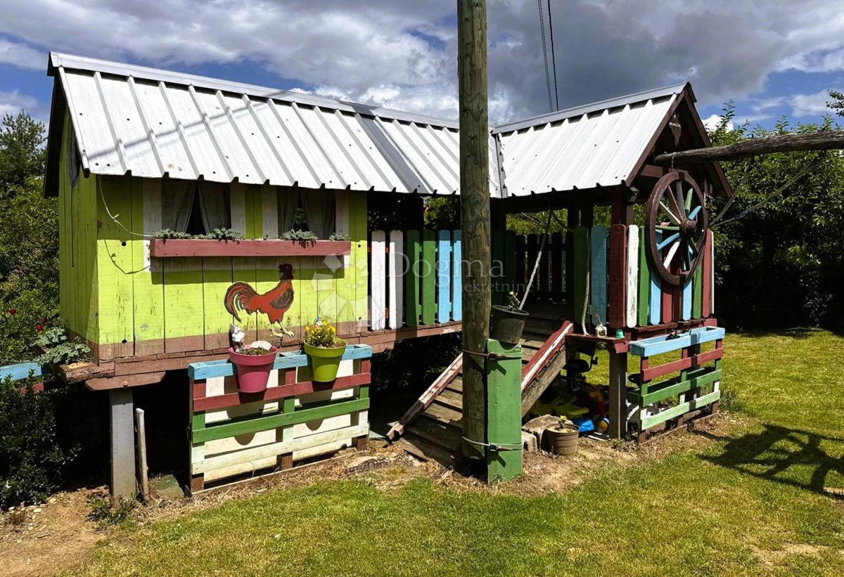 image 14