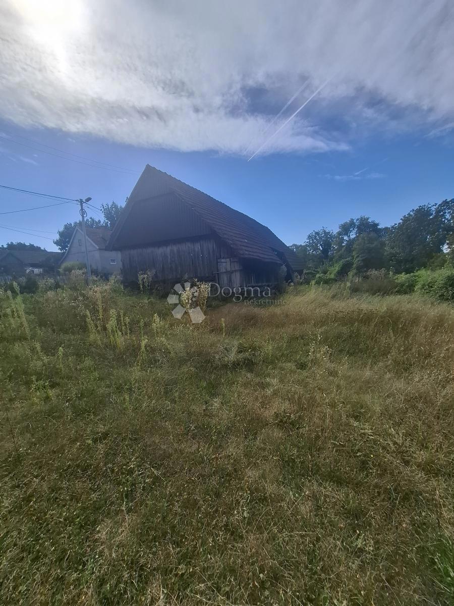 image 14