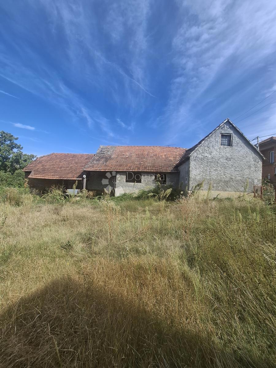 image 13