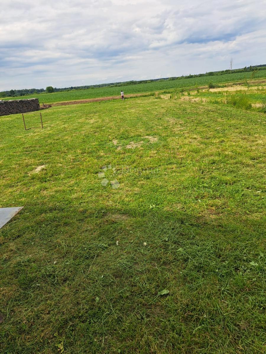 image 29