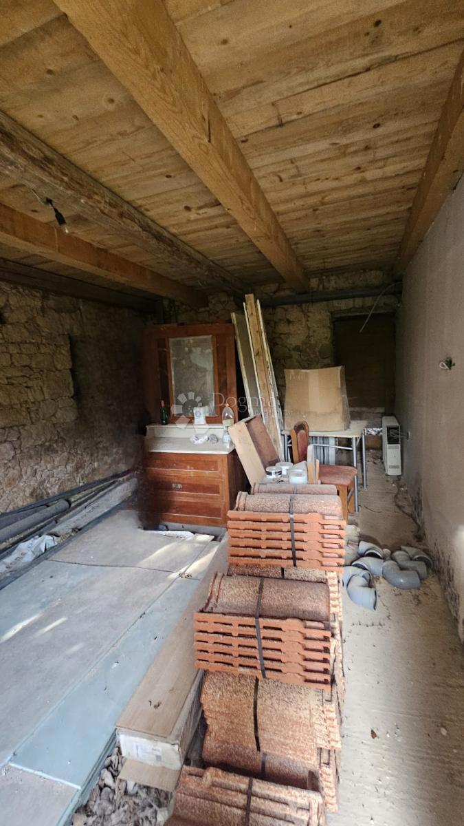 image 23