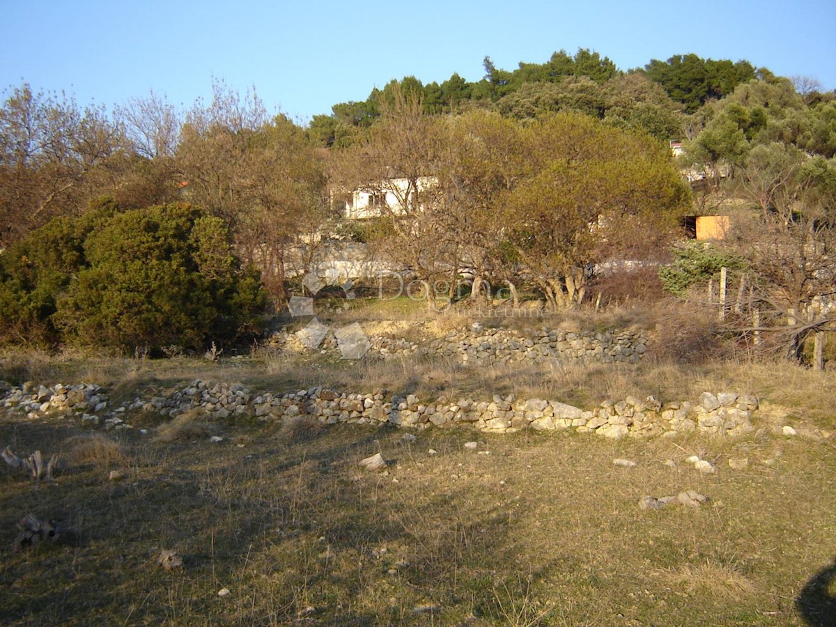 SUPETARSKA DRAGA