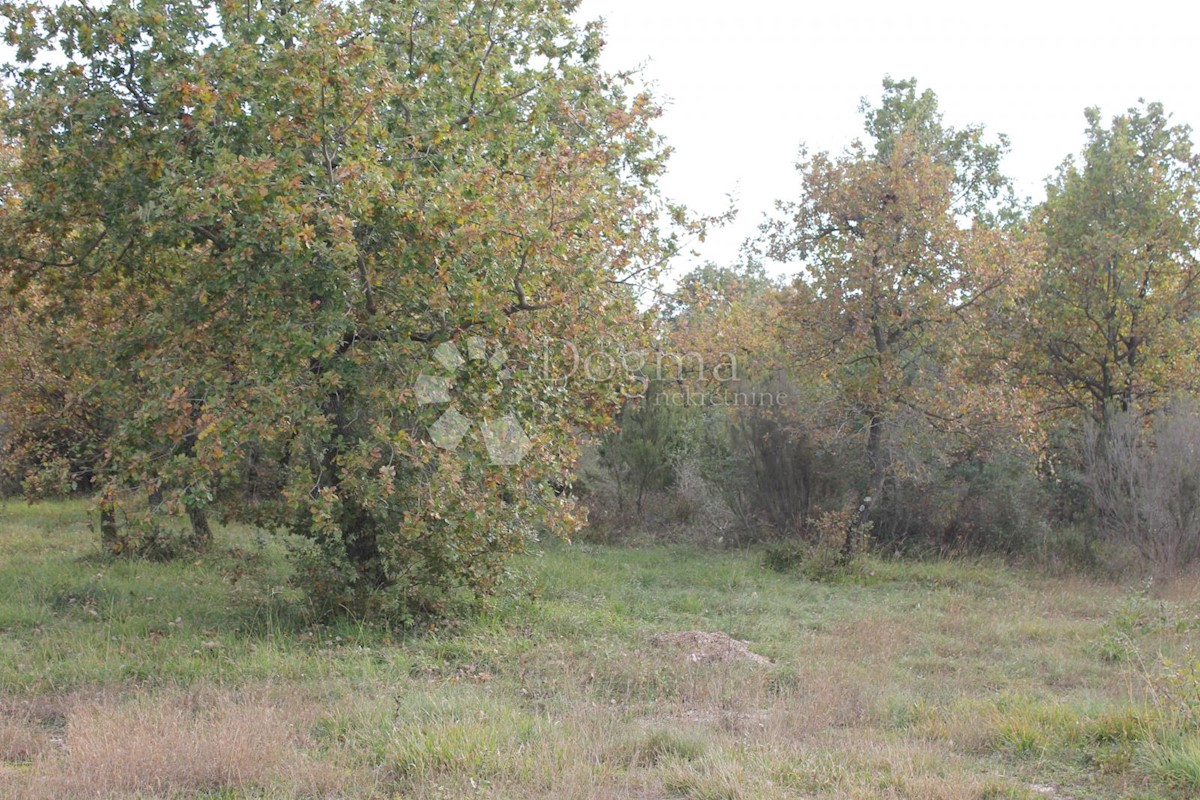 VODNJAN