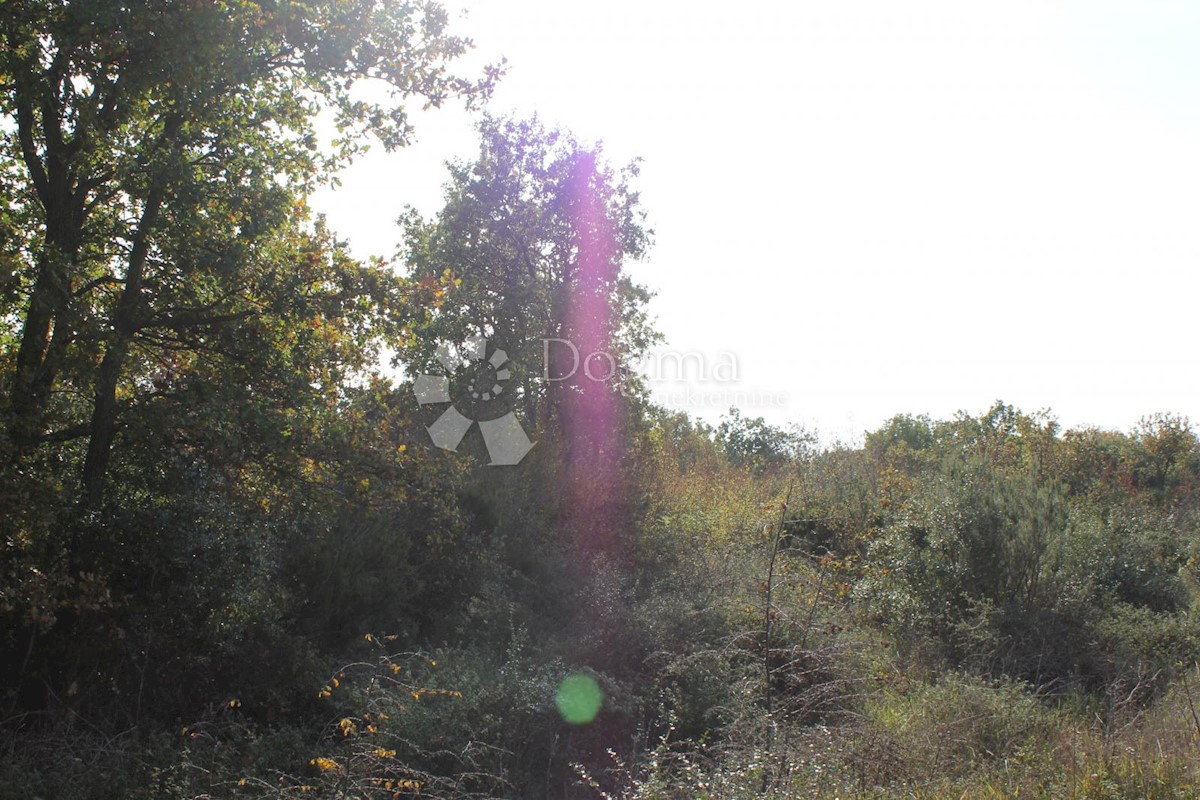 VODNJAN