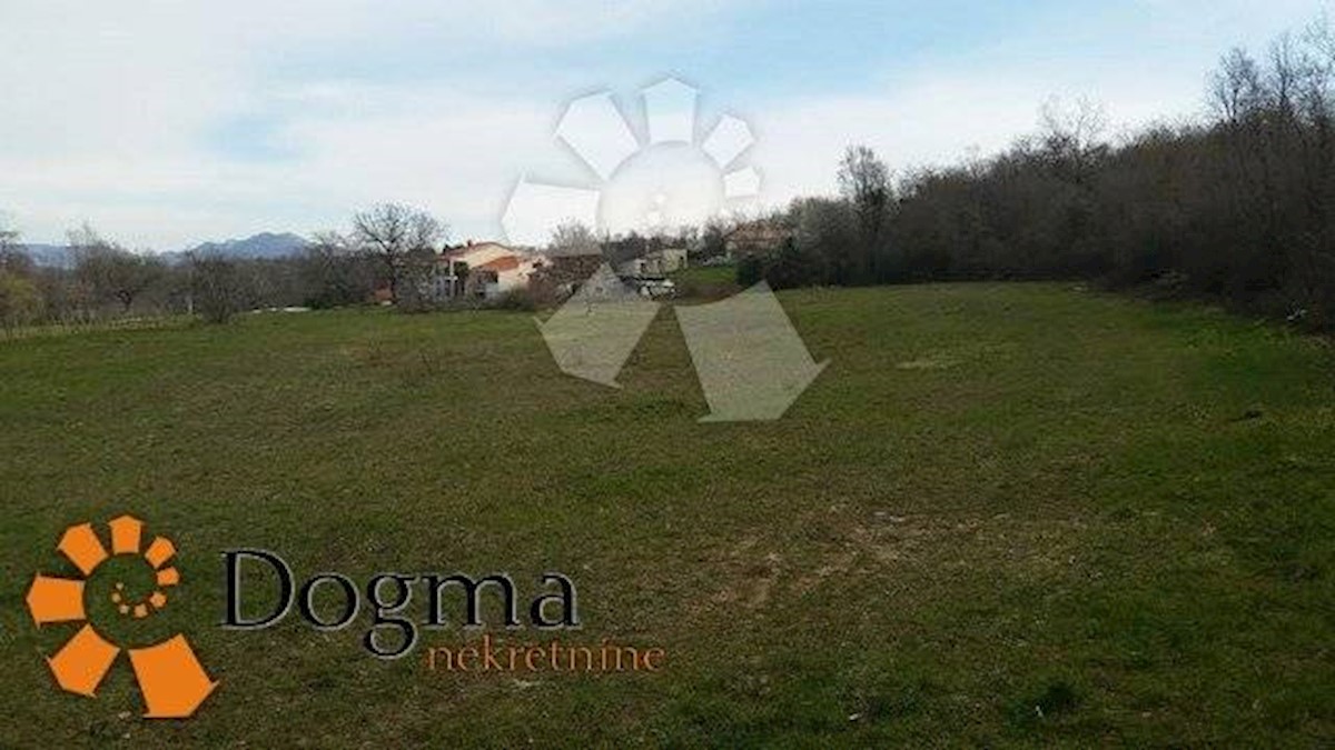 KAPELICA