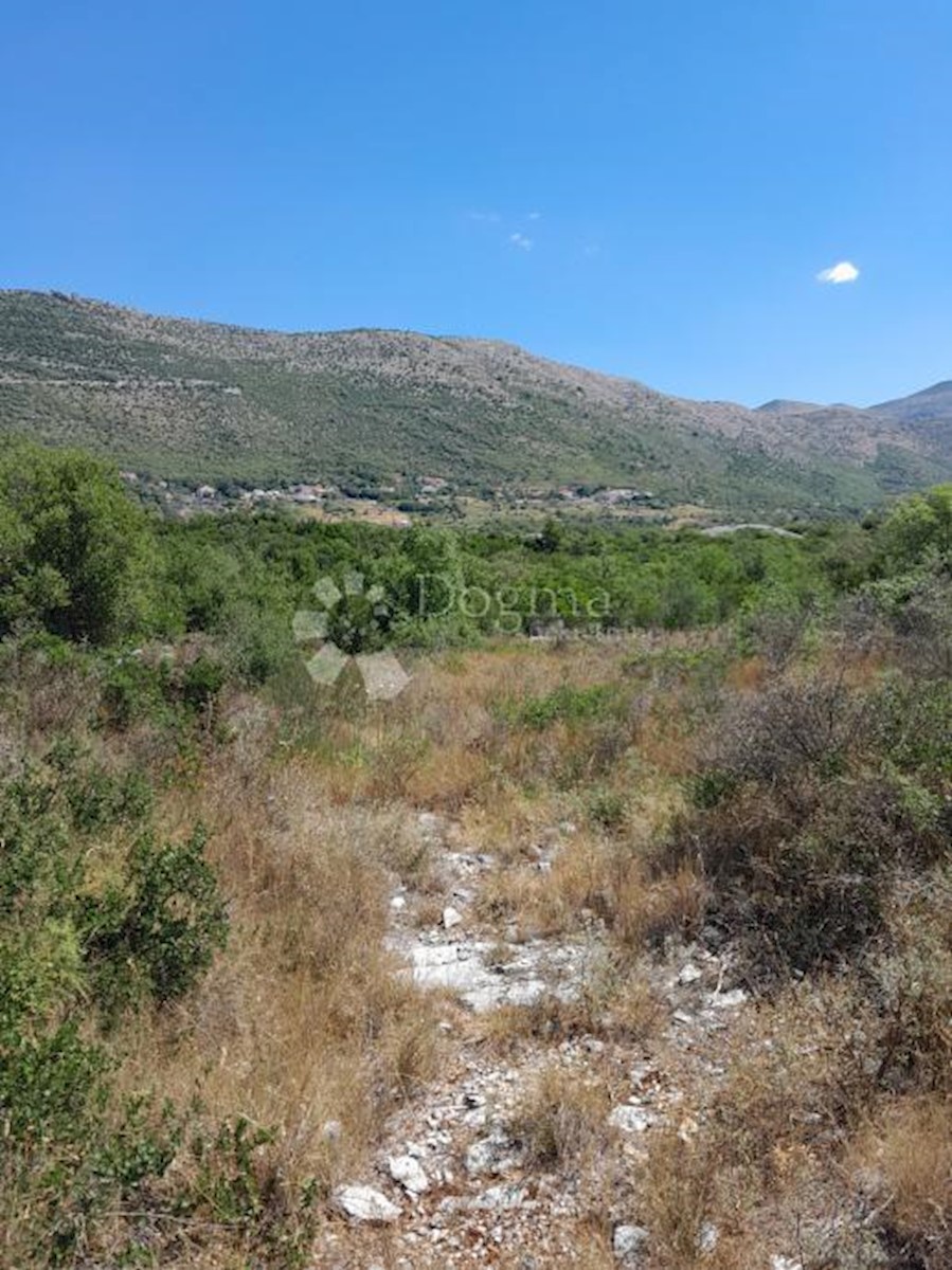 MOČIĆI