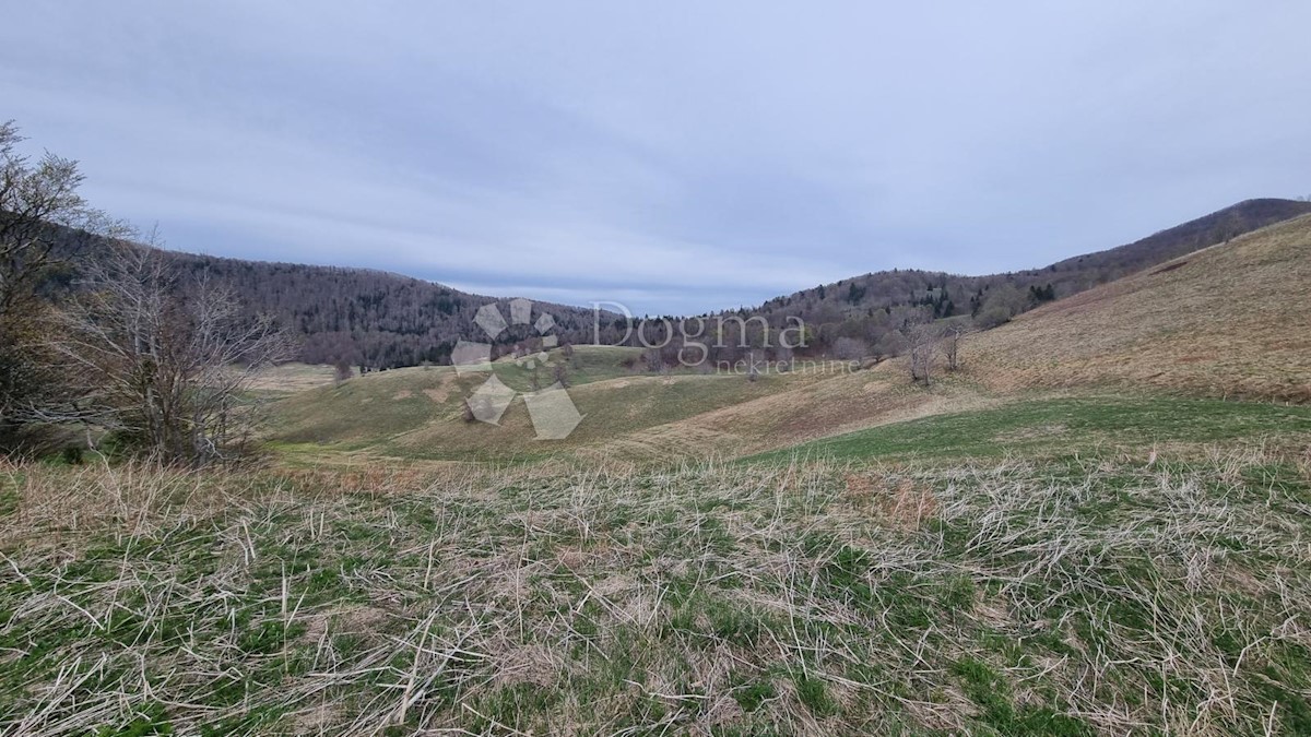 BEGOVO RAZDOLJE