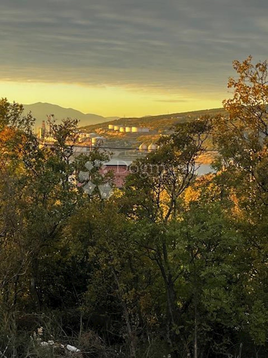 KRALJEVICA