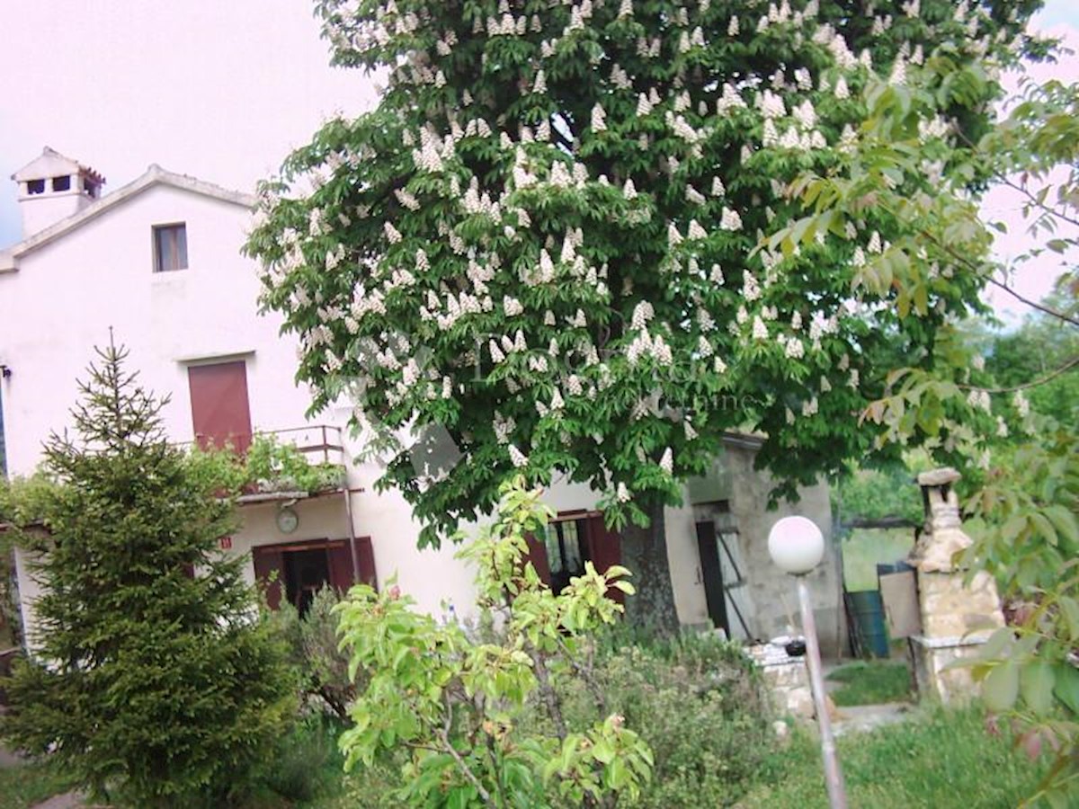 LESIŠĆINA