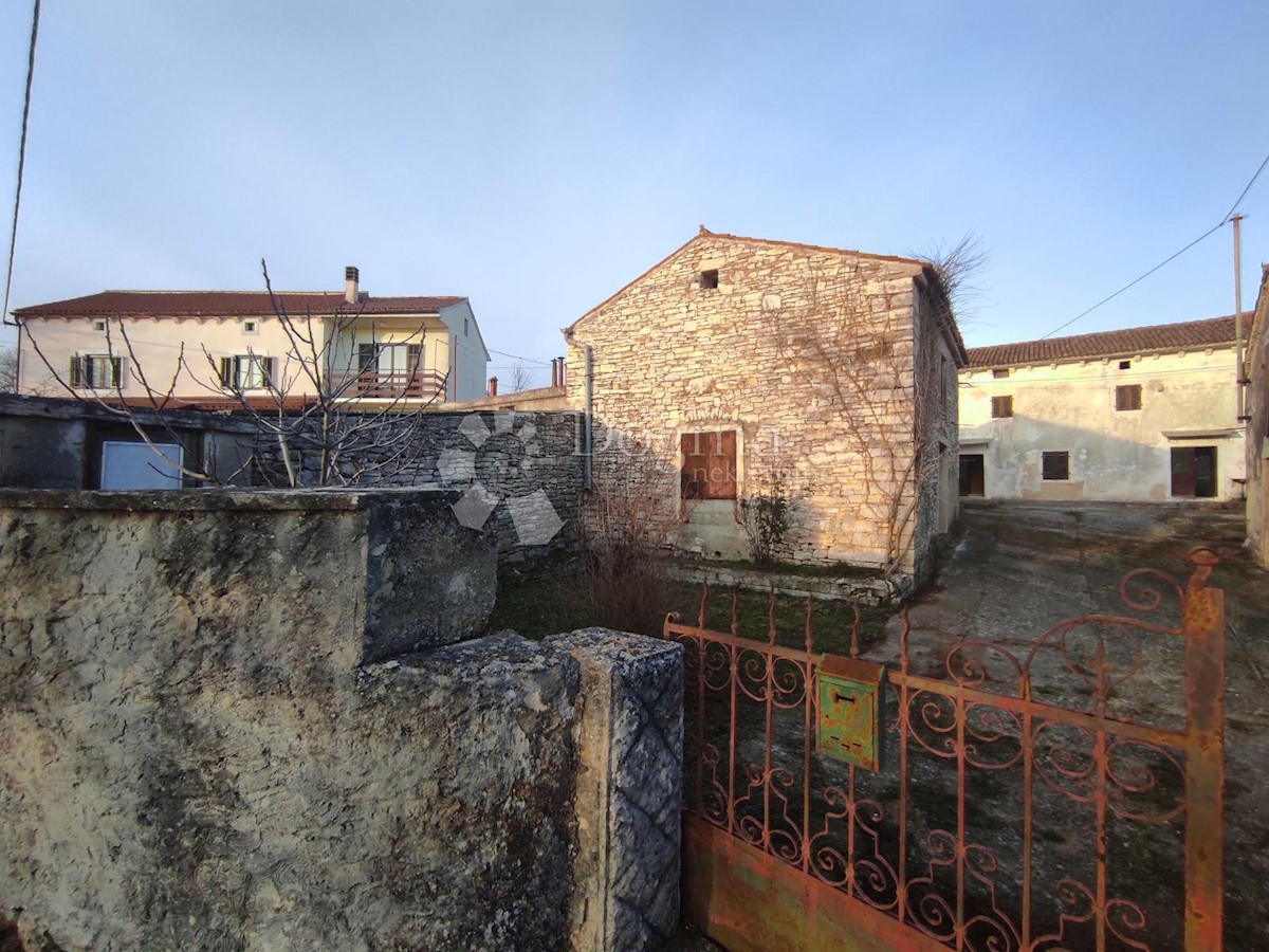 DIVŠIĆI