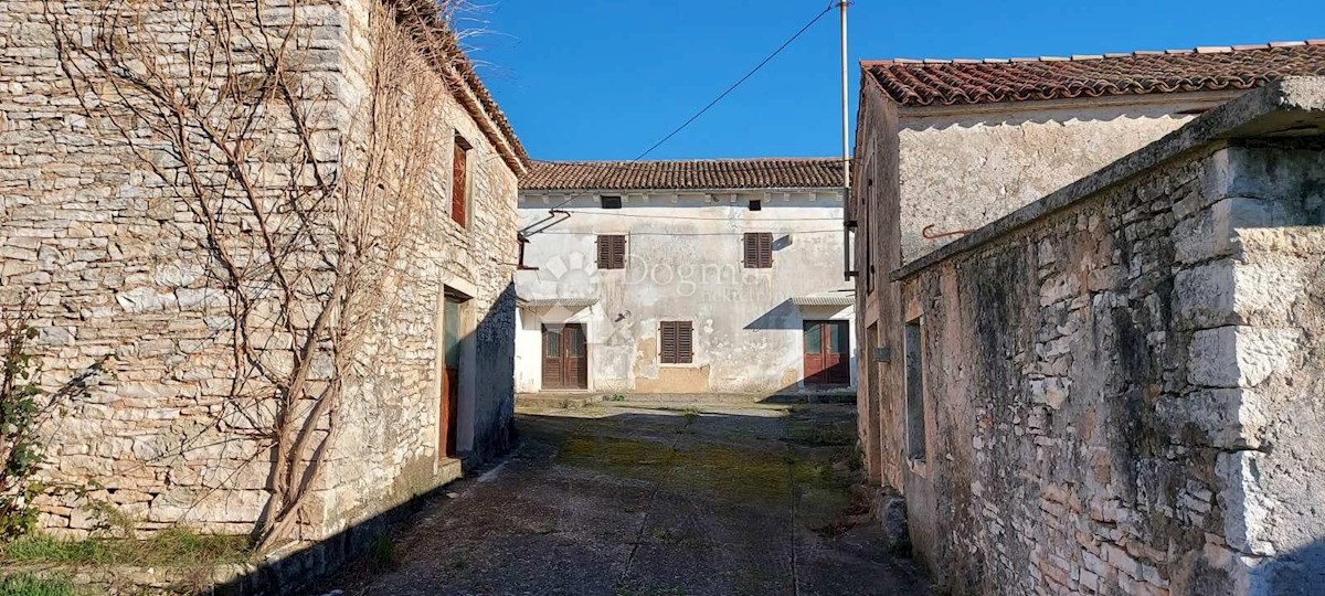 DIVŠIĆI