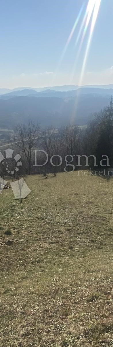 TOPLIČICA