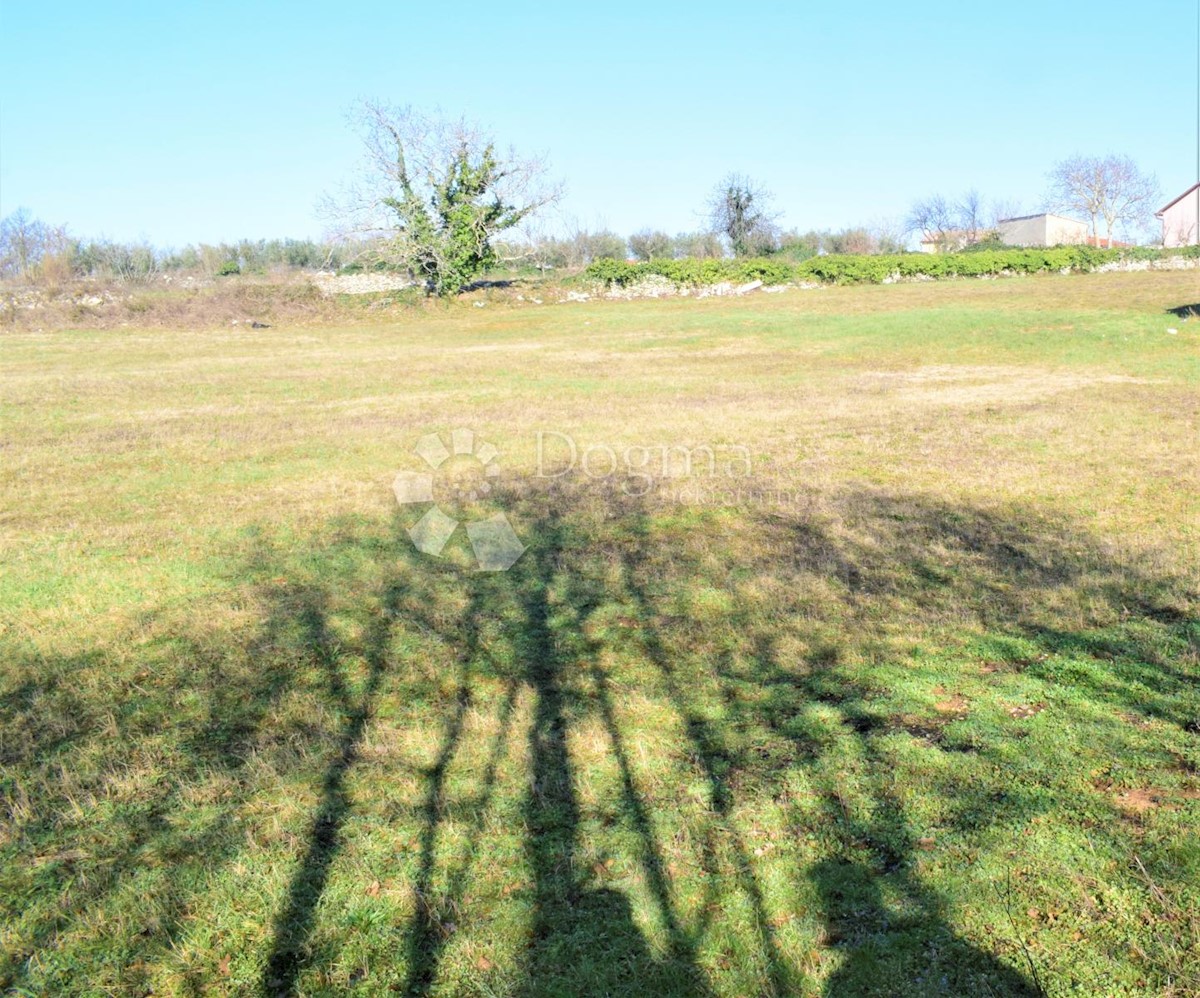 MARČANA