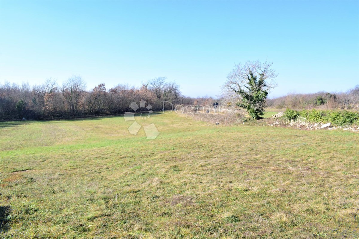 MARČANA