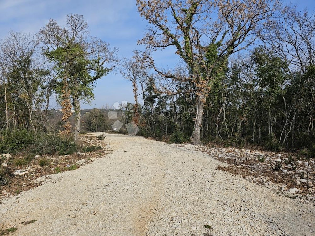 PERUŠKI