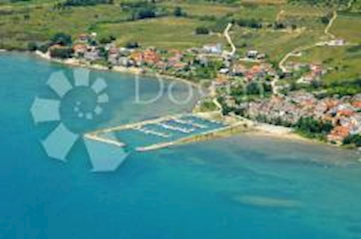 LJUBAČ