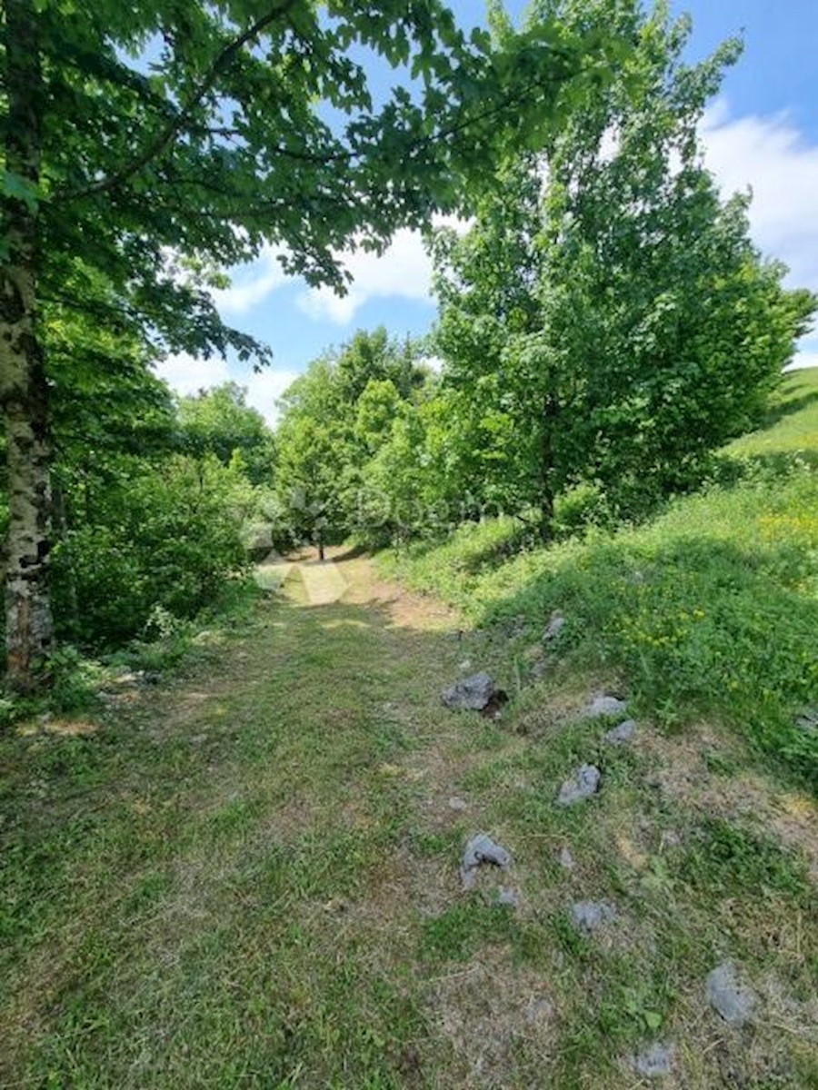 SLAVICA