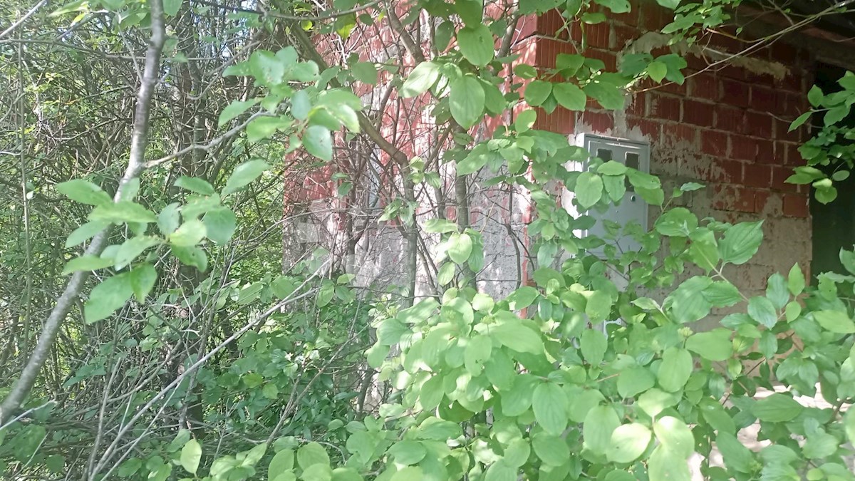 VINOGRADI LUDBREŠKI
