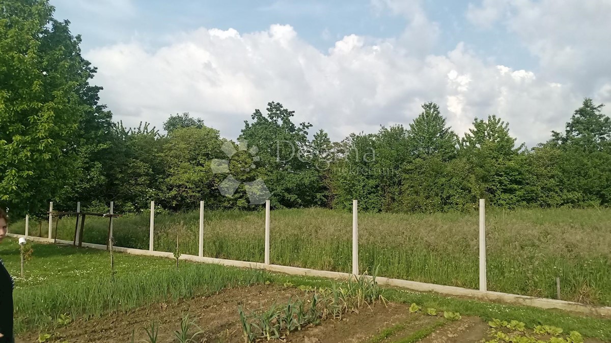 VINOGRADI LUDBREŠKI