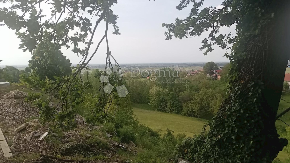 VINOGRADI LUDBREŠKI