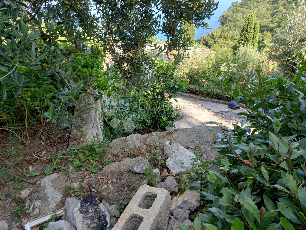 MEDVEJA