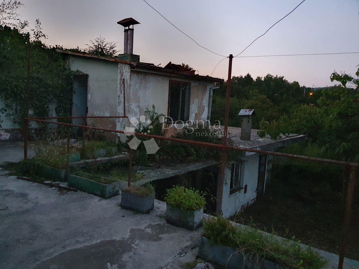 MIHOTIĆI