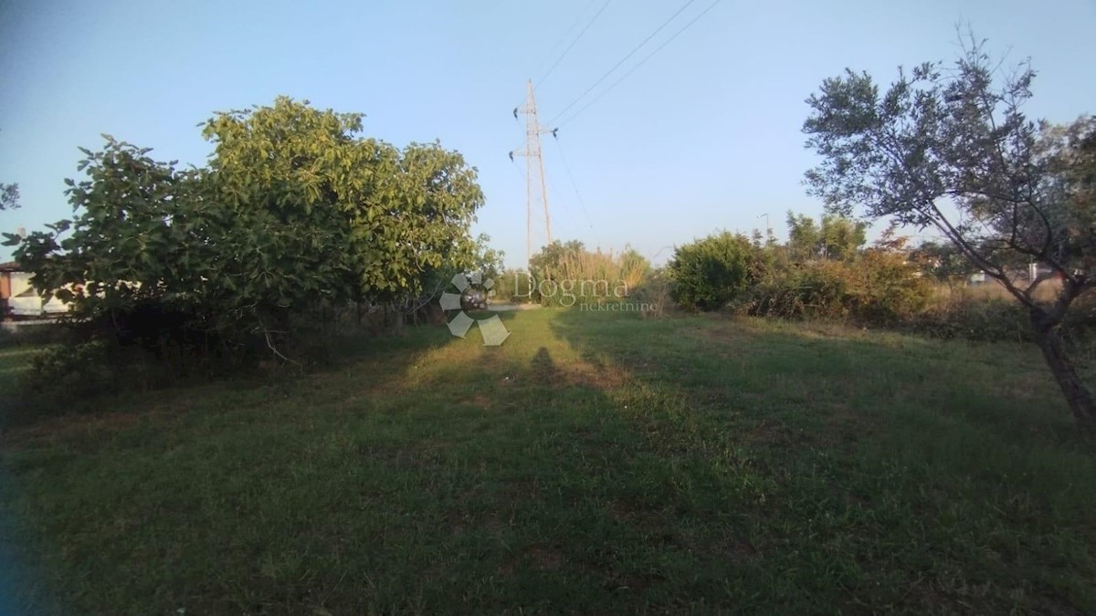 FAŽANA