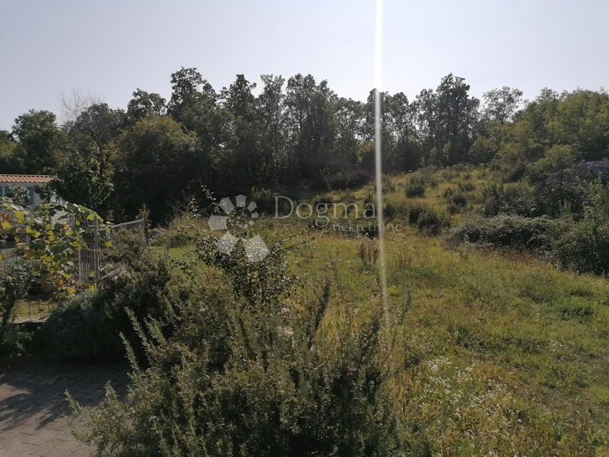 MARINIĆI