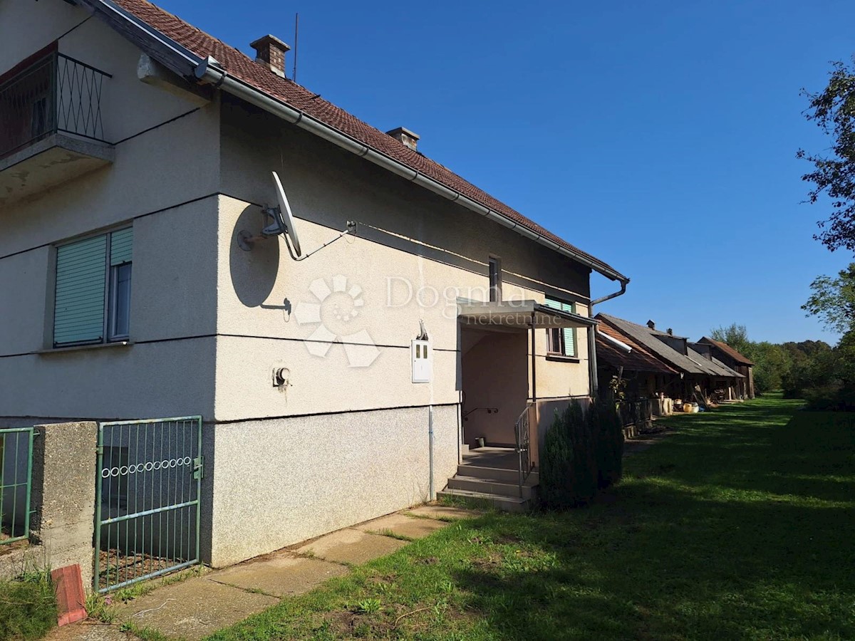 PALINOVEC