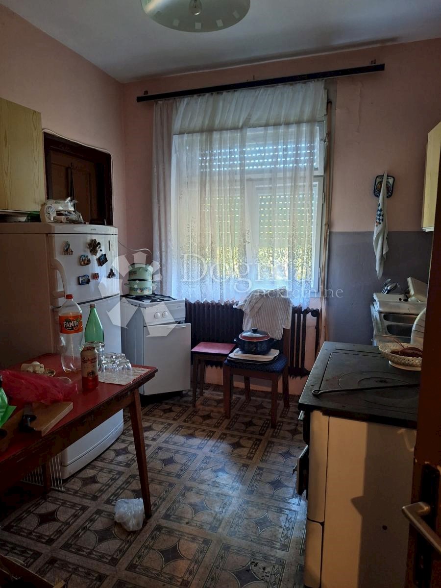 PALINOVEC