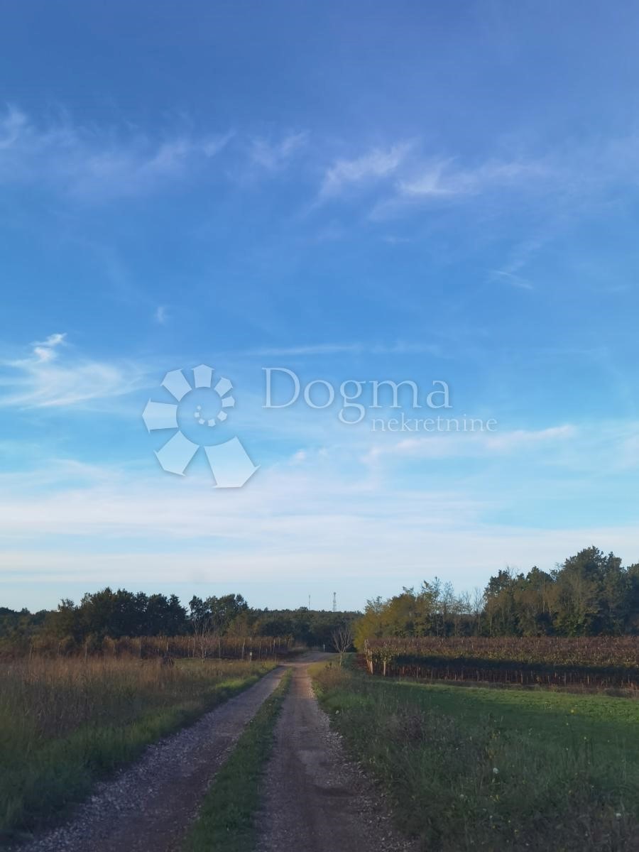 VIŽINADA
