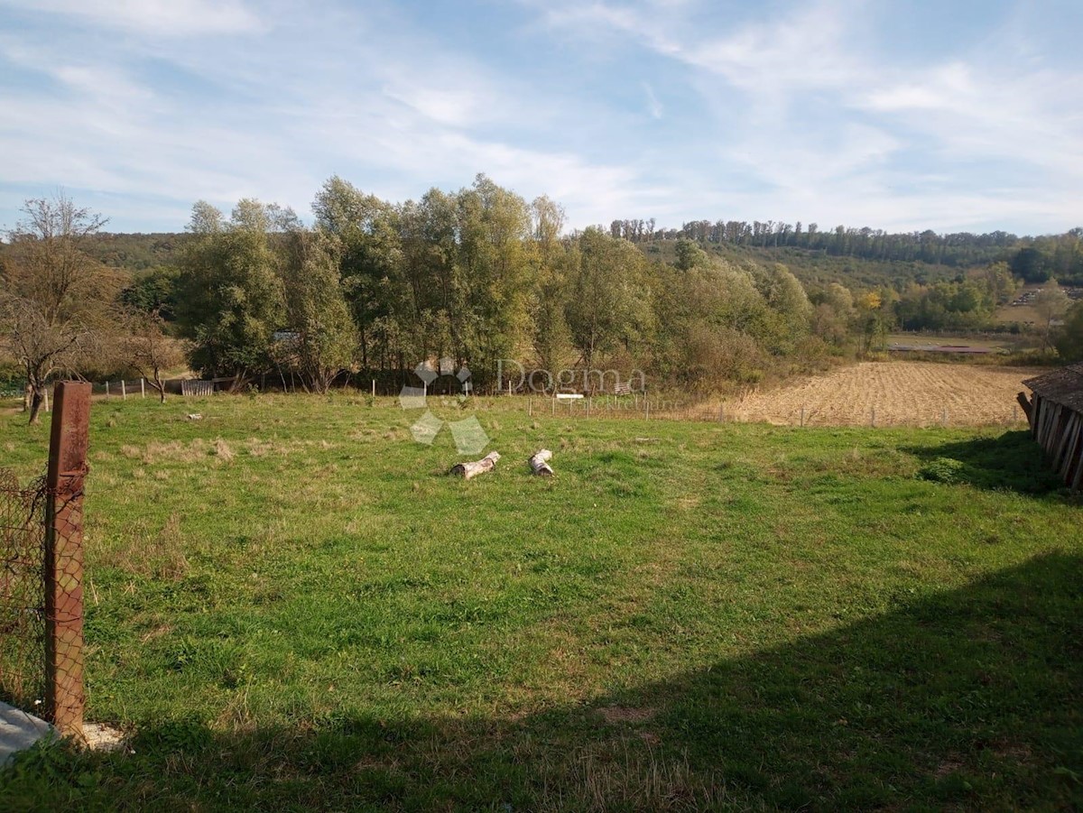 NOVA LJESKOVICA