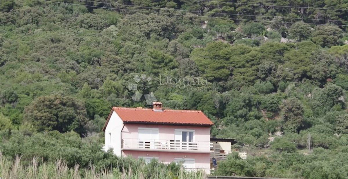 BARBAT NA RABU