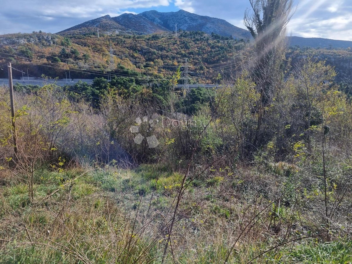 KLIS