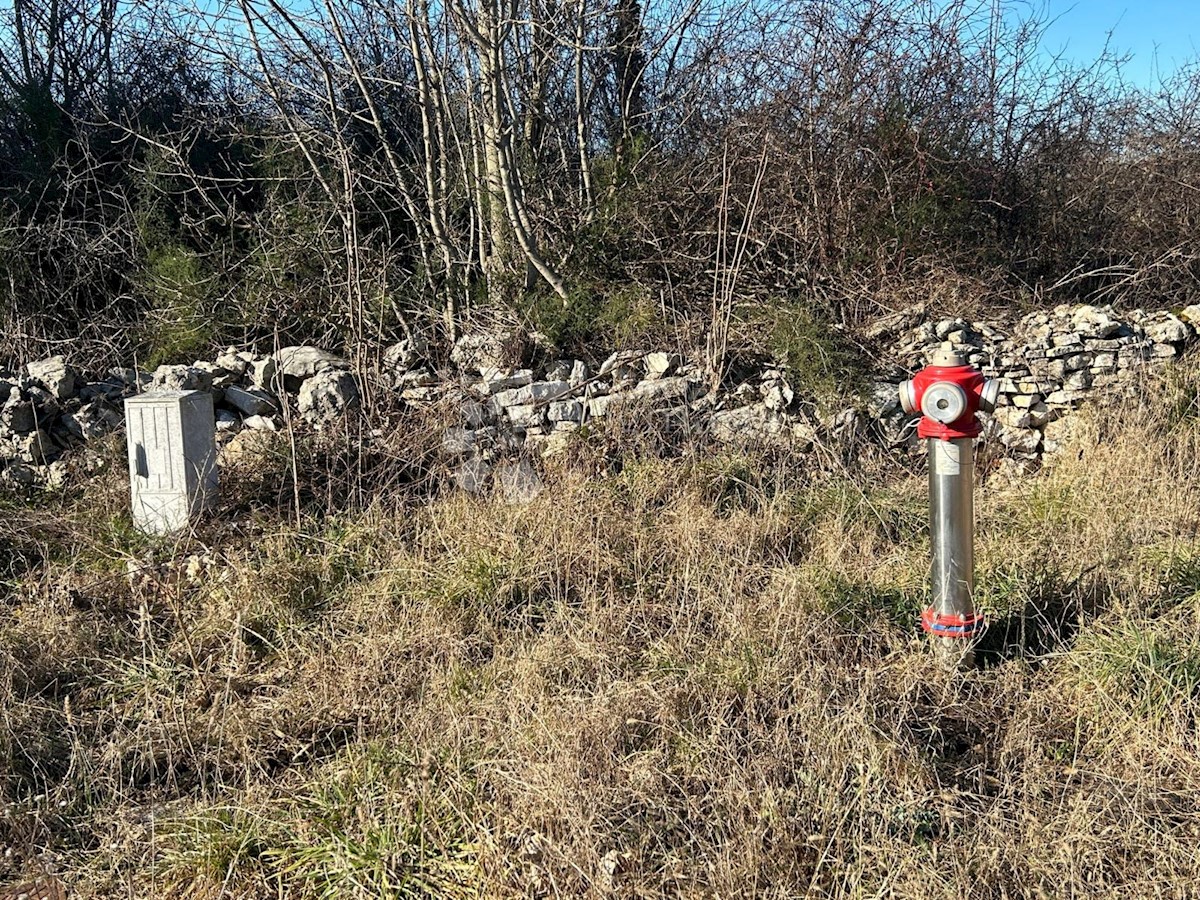 FILIPANA