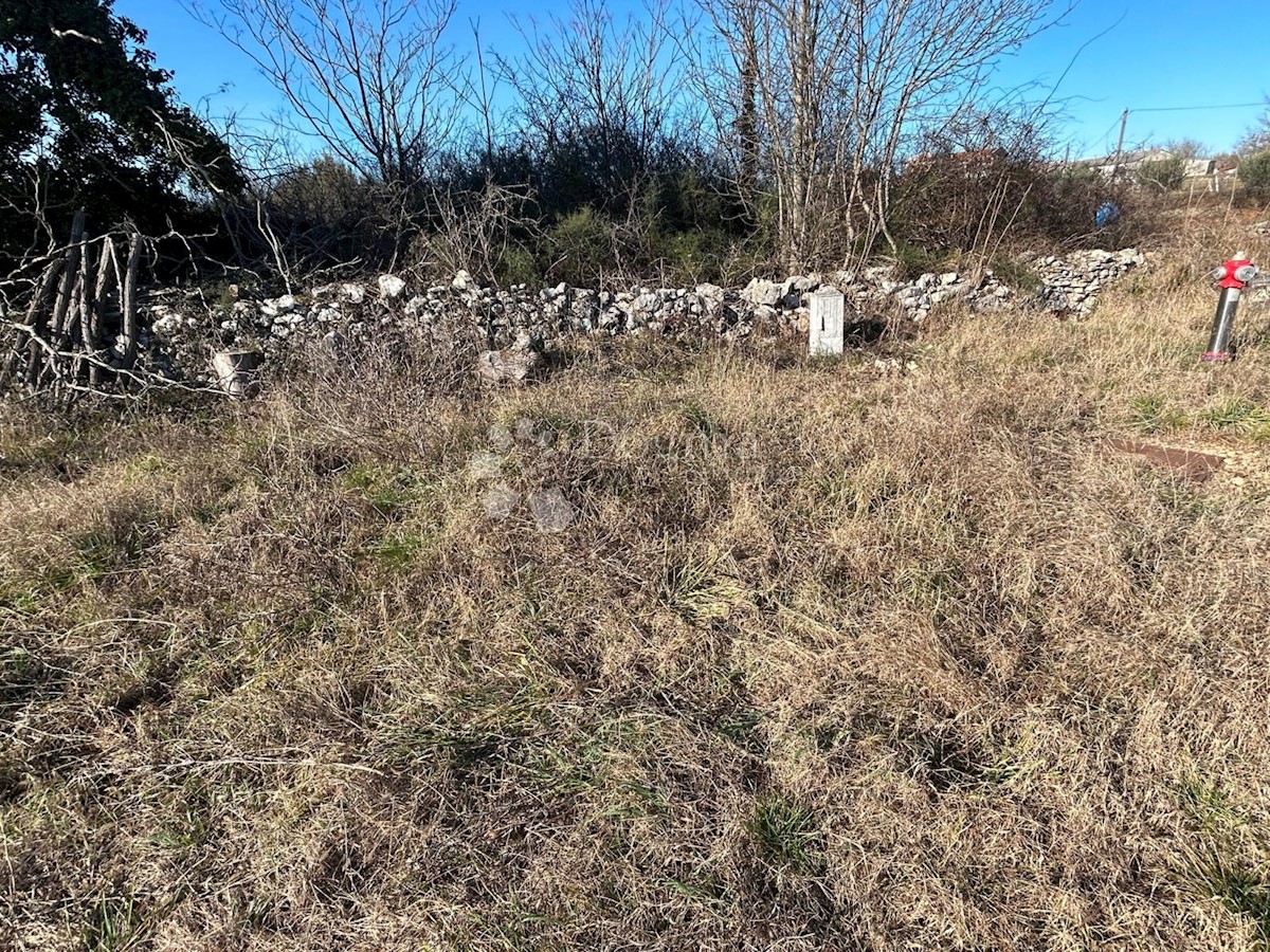 FILIPANA