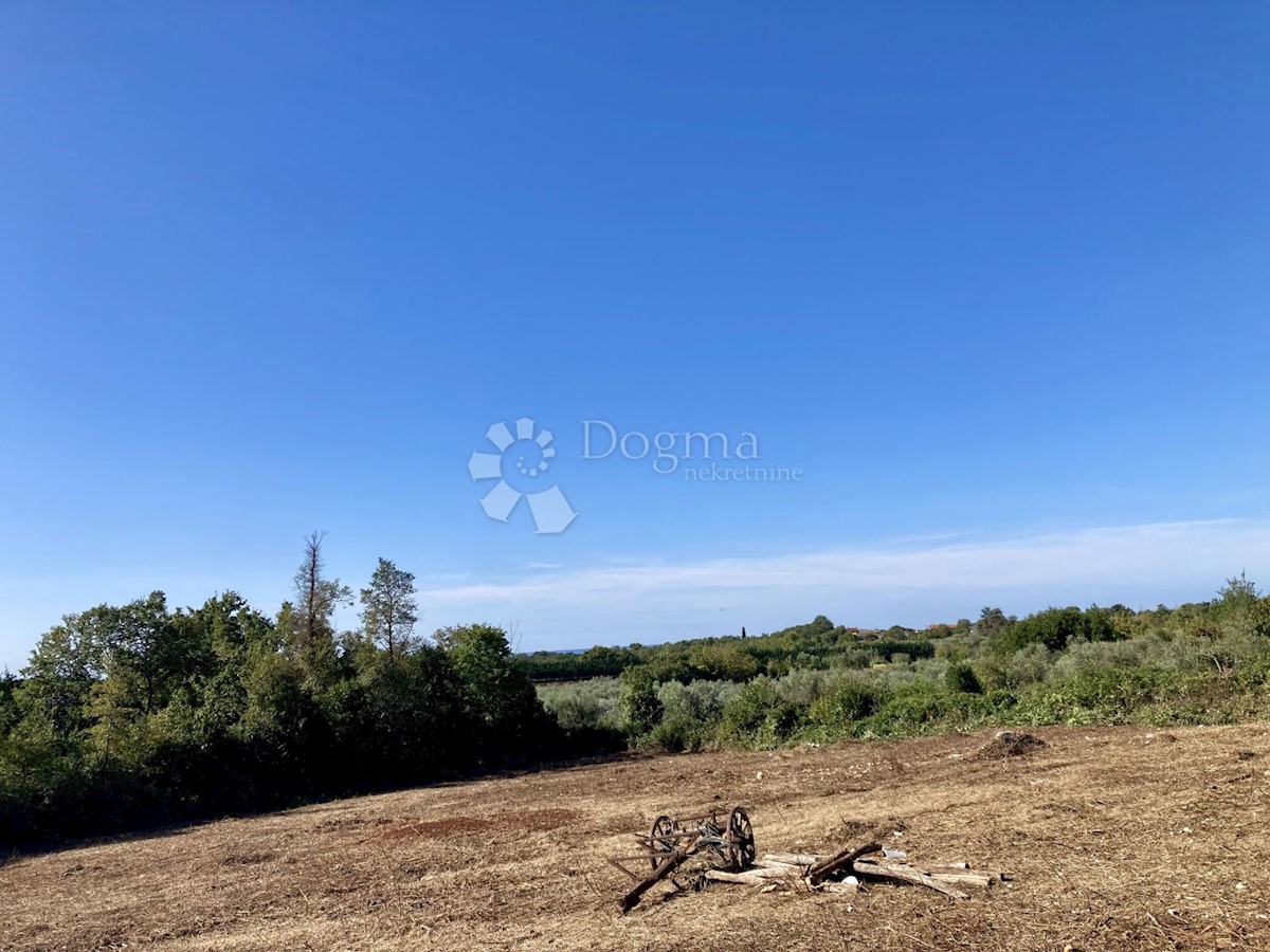BRTONIGLA