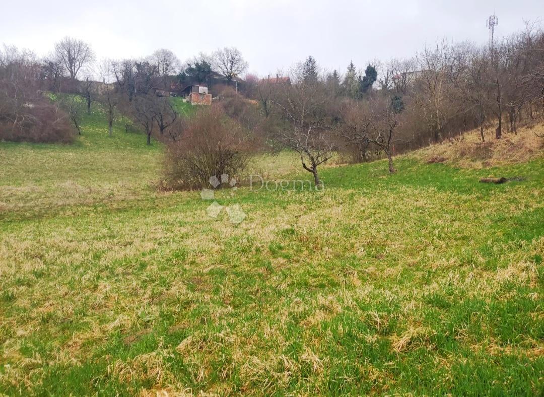 MARKUŠEVEC