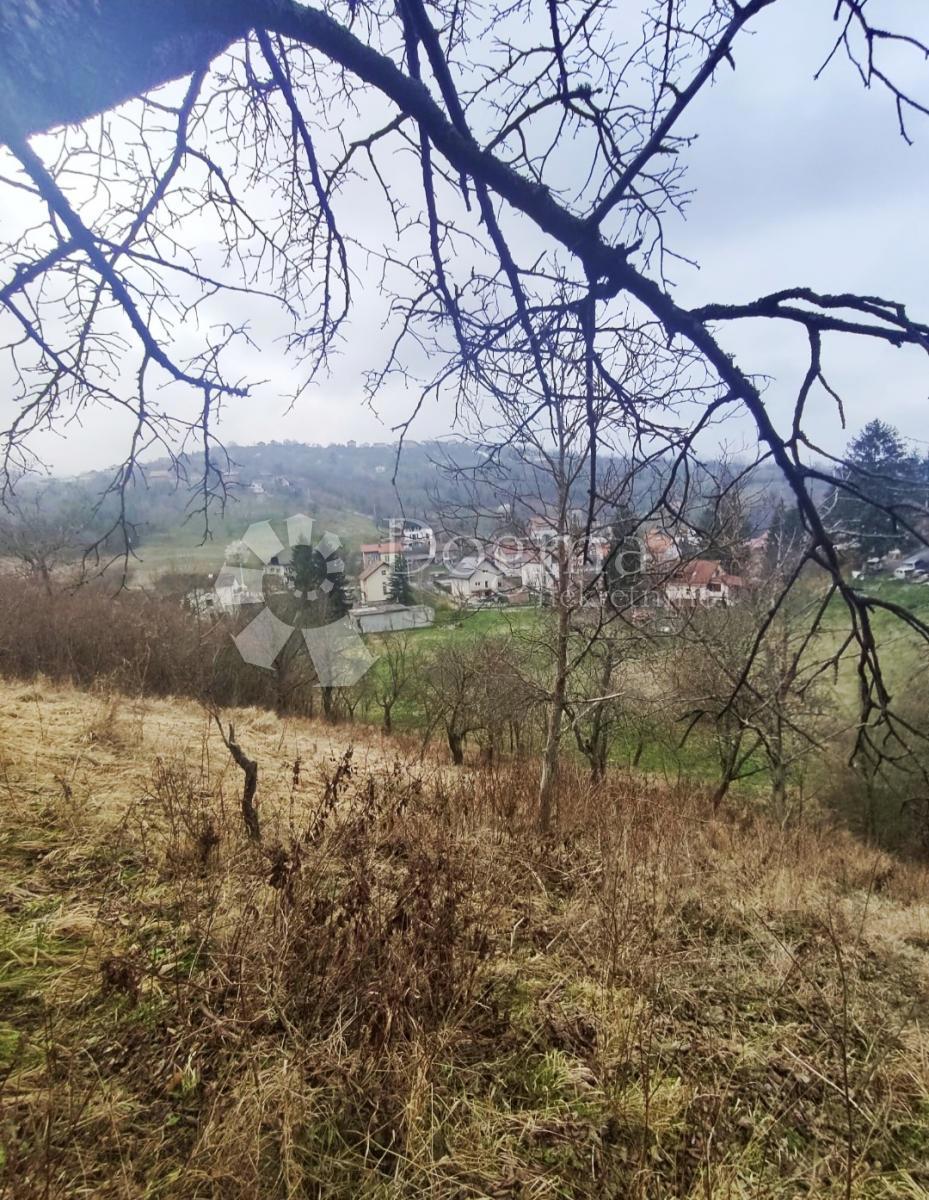 MARKUŠEVEC