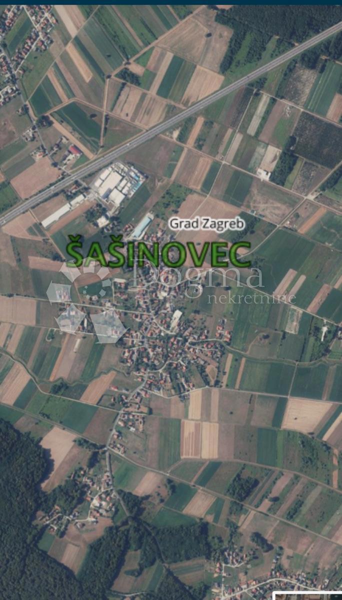 ŠAŠINOVEC