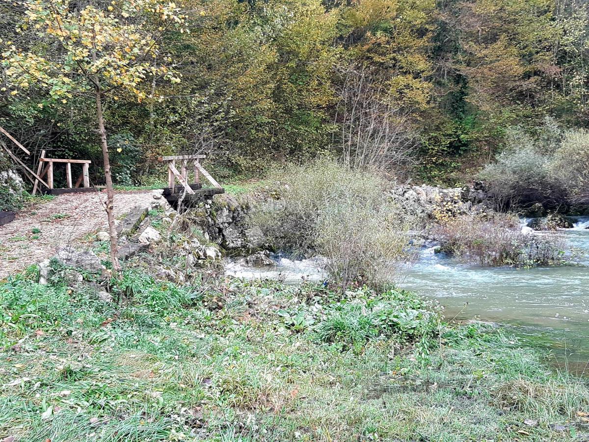 VITUNJ