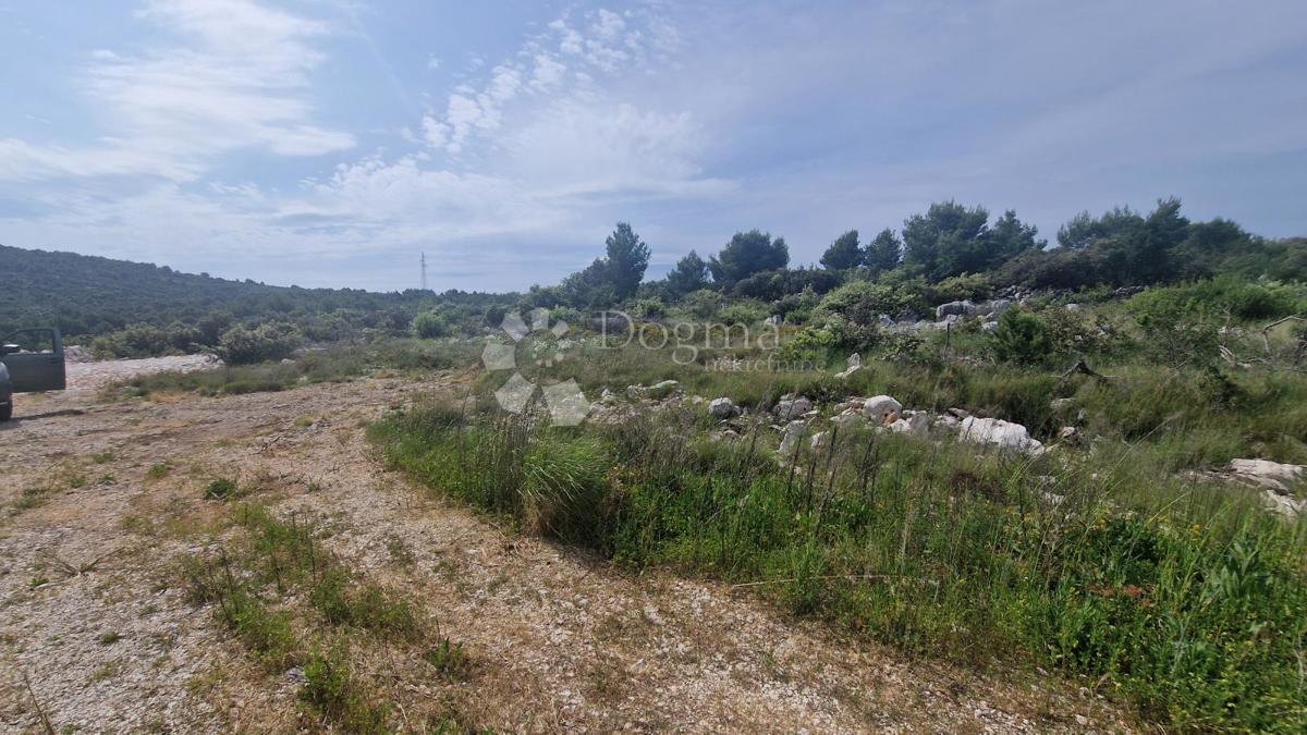 VRSINE