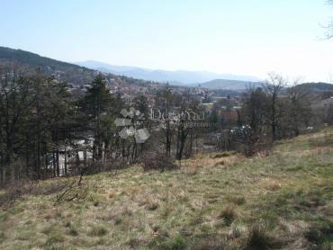 ČAVLE