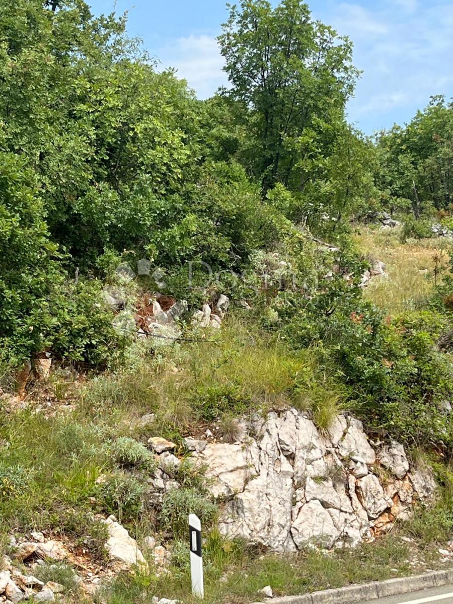 PLOMIN